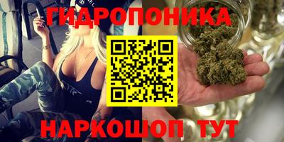 jwh Партизанск