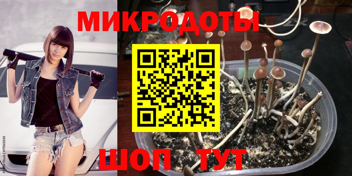 Прокопьевск  Псилоцибиновые грибы мухоморы  Галлюциногенные грибы MAGIC MUSHROOMS  Вход с VPN 
